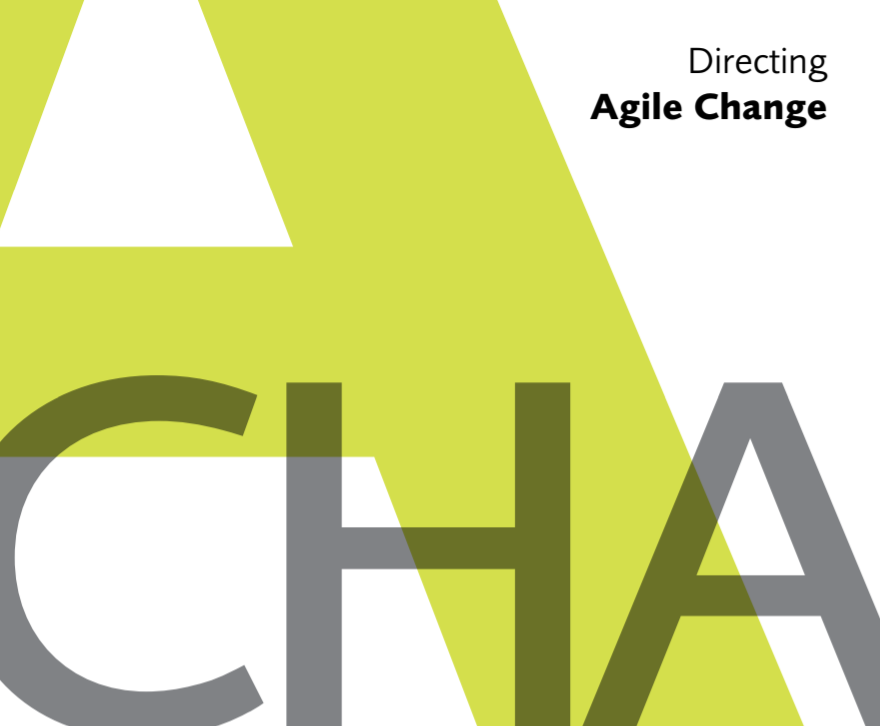 Directing Agile Change (1)