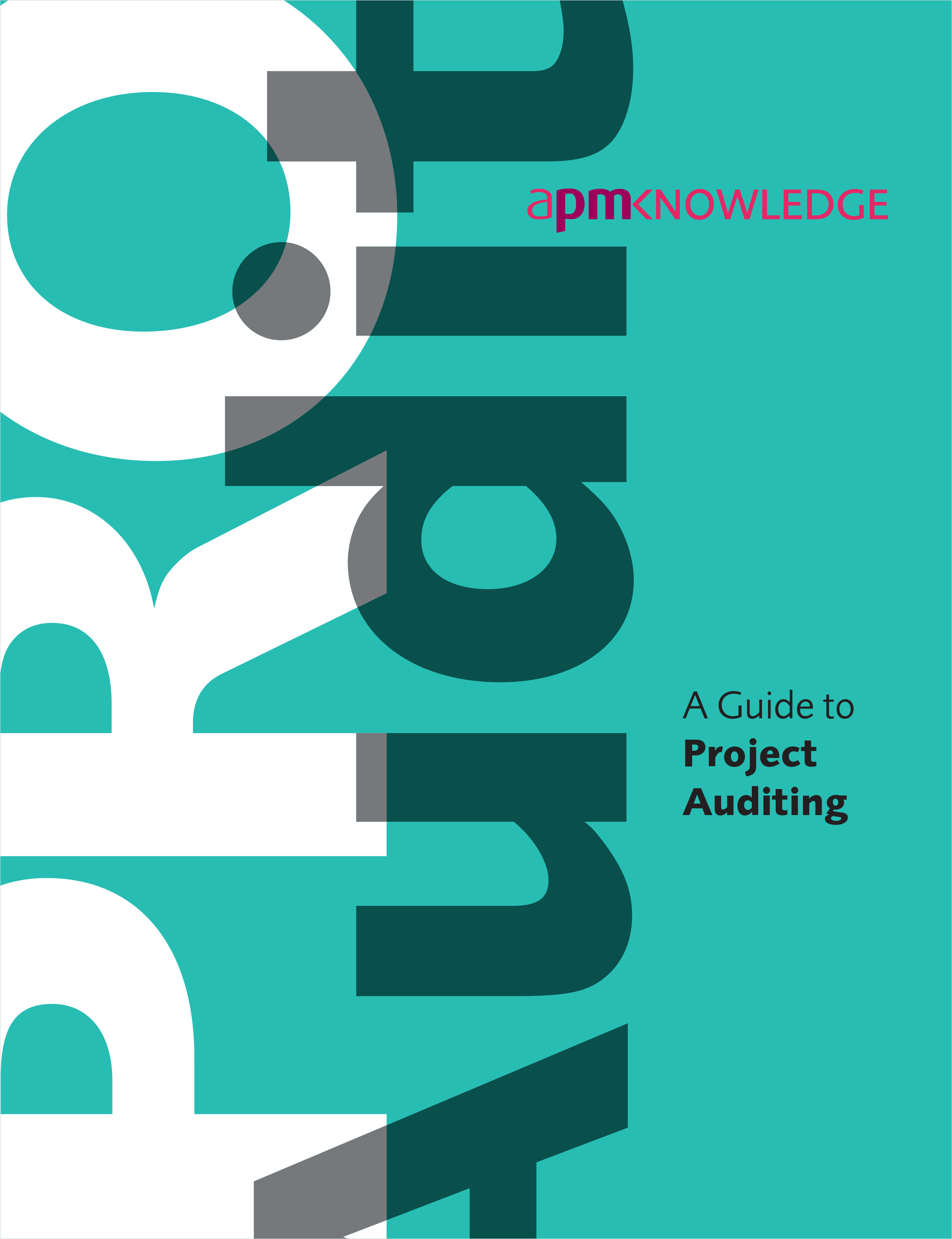 a guide to project auditing apm a guide to project auditing apm